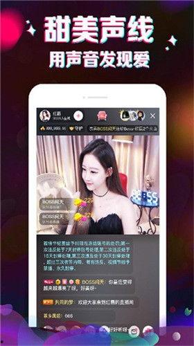 城市爆料直播视频大全,全景式呈现城市生活百态  第1张